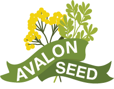 Avalon Seed Shop | Canadian Seed Store